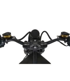 Elektroroller Chopper Blake 45km/h - hohe Reichweite mit 34AH oder 40AH Akku