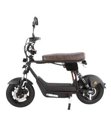 E-Roller 'E-Nomad', 25 km/h, 45 km/h, speziell für Camper und Pendler
