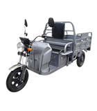Elektro-Lastendreirad "CargoCruiser Li" 25/45 km/h, 60V/60 Ah Lithium-Akku