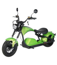 E-SCOOTER 