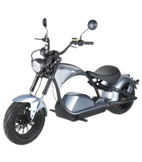 E-SCOOTER 